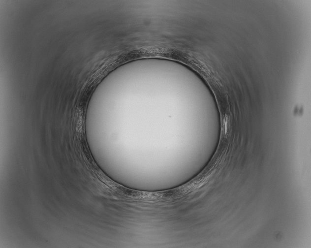 X0000091491251200708161203