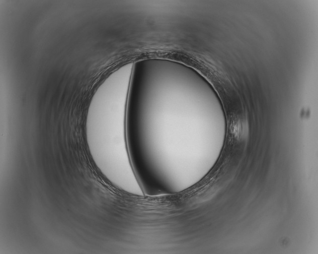 X0000091491252200708161203