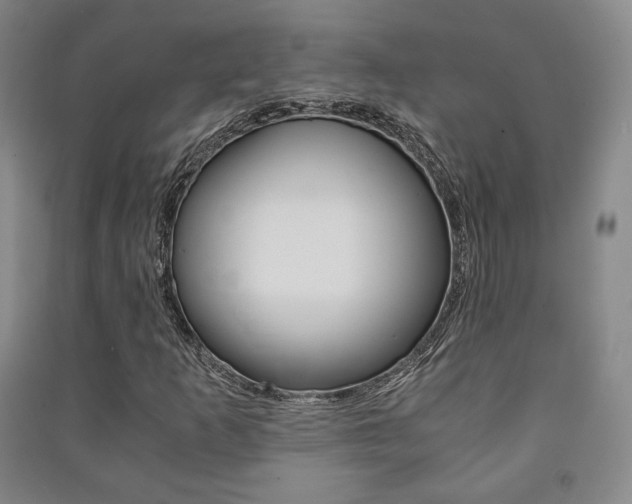 X0000091491253200708161203