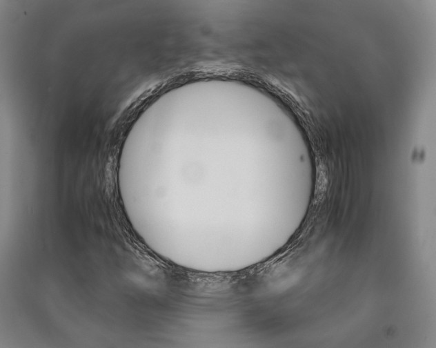 X0000091491254200708161203