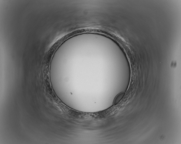 X0000091491255200708161203
