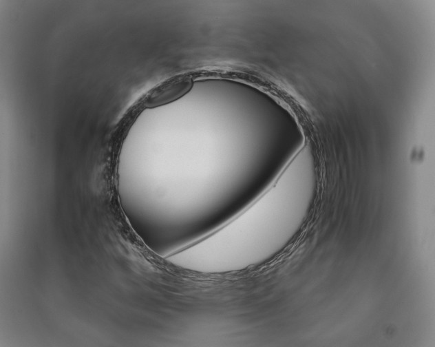 X0000091491256200708161203