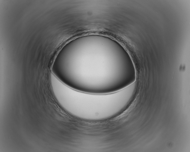 X0000091491257200708161203