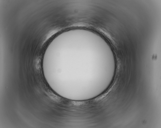 X0000091491258200708161203