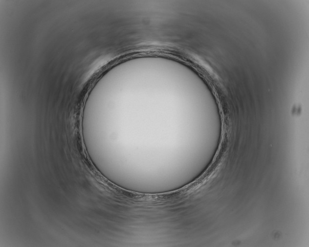X0000091491259200708161203