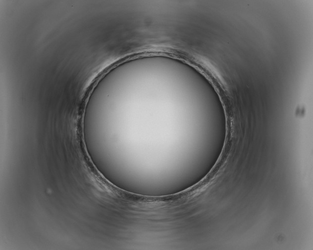 X0000091491260200708161203