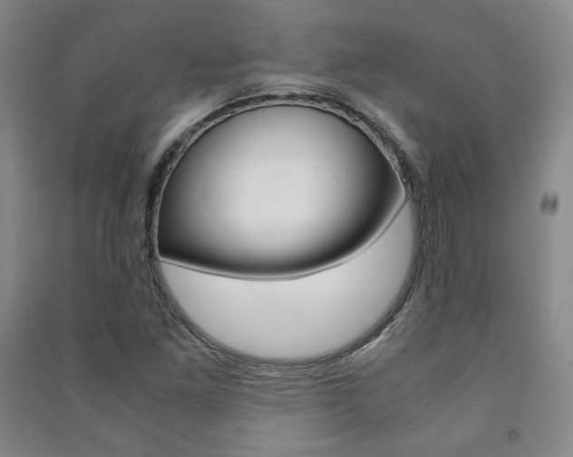 X0000091491261200708161203