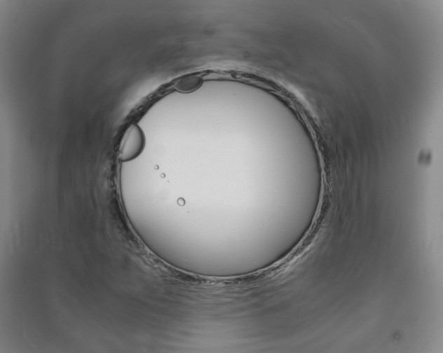 X0000091491263200708161203