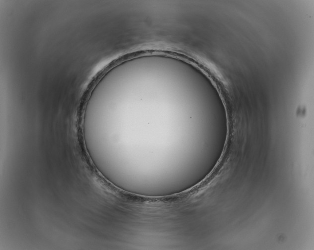 X0000091491264200708161203