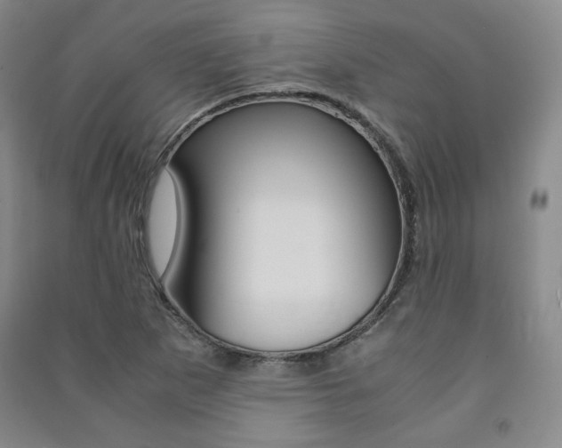 X0000091491265200708161203