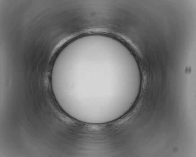 X0000091491266200708161203