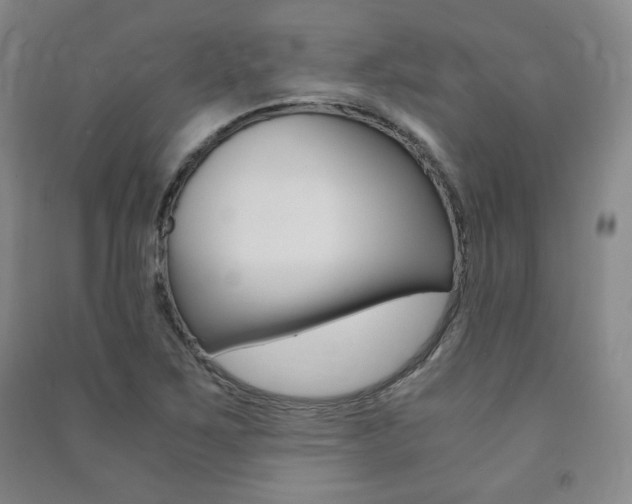 X0000091491267200708161203