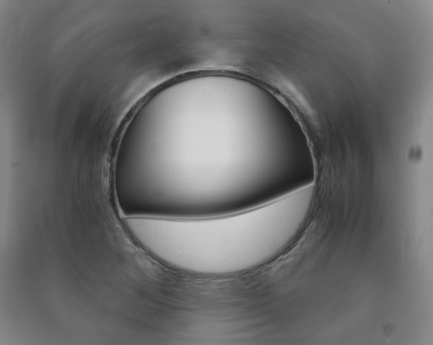 X0000091491268200708161203