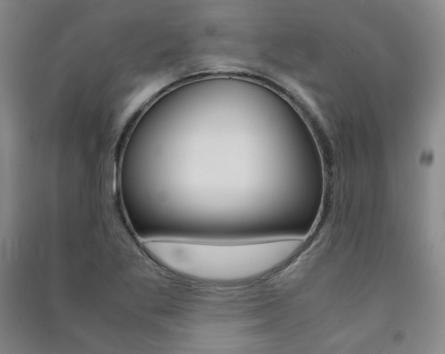 X0000091491269200708161203