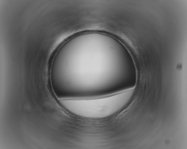 X0000091491270200708161203