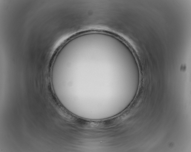 X0000091491271200708161203