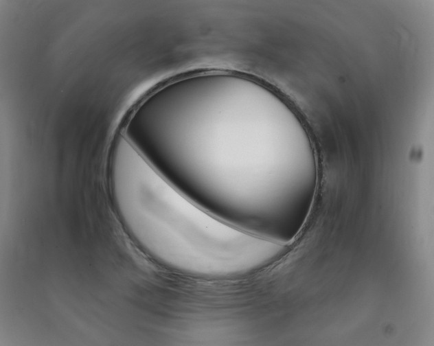 X0000091491272200708161203