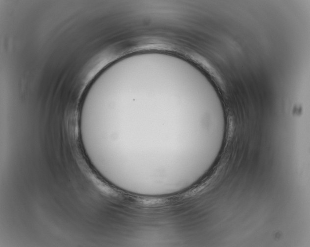 X0000091491274200708161203