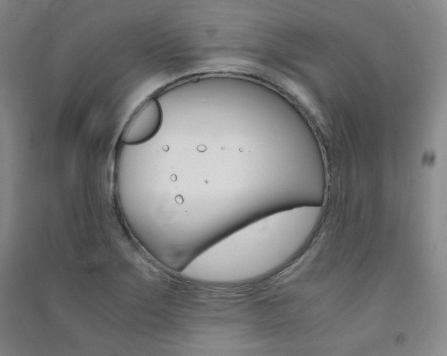 X0000091491275200708161203