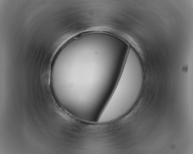 X0000091491276200708161203
