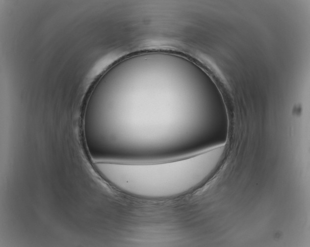 X0000091491277200708161203
