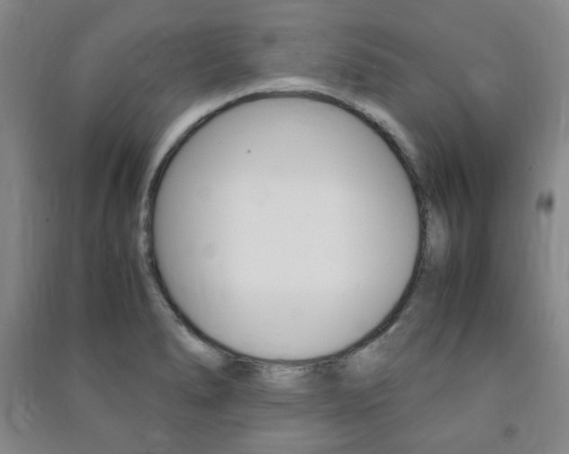 X0000091491278200708161203