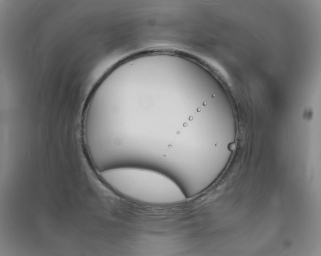 X0000091491279200708161203