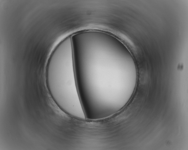 X0000091491280200708161203