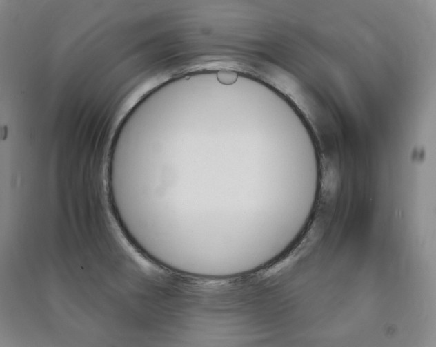 X0000091491282200708161203