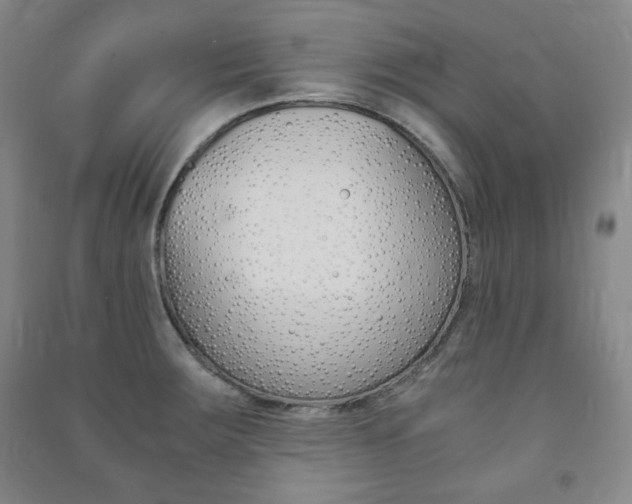 X0000091491283200708161203