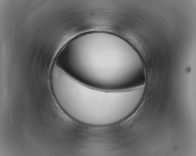 X0000091491284200708161203