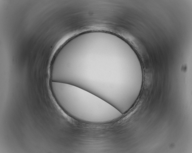 X0000091491286200708161203