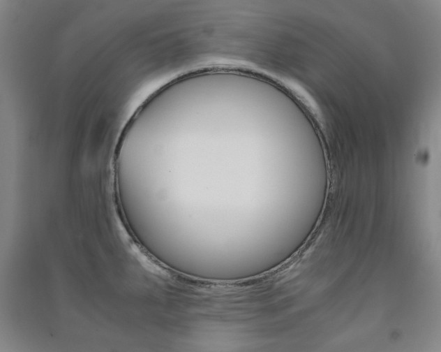X0000091491287200708161203