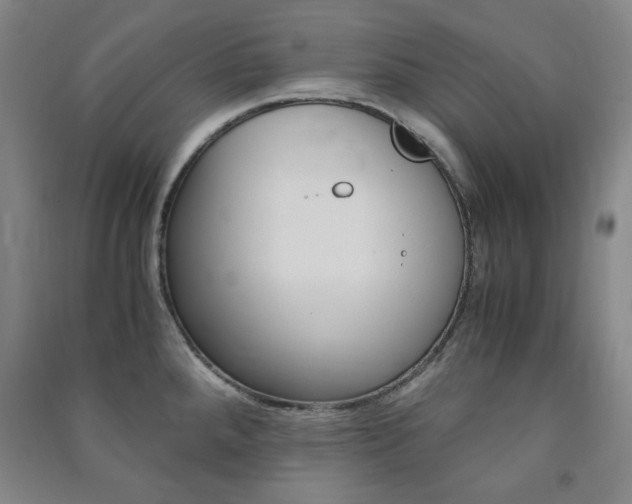X0000091491288200708161203