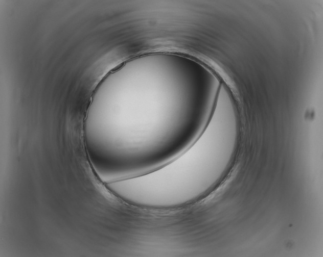 X0000091491289200708161203