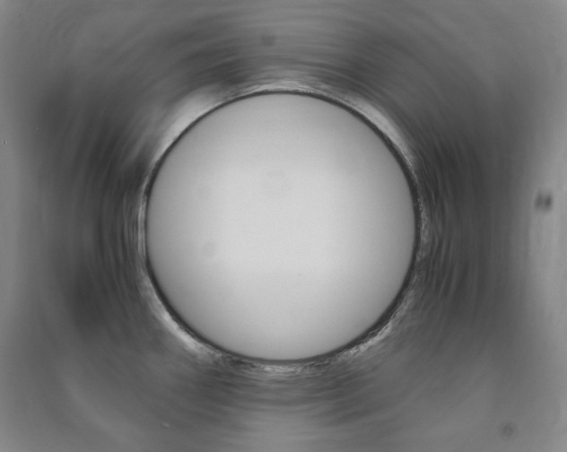 X0000091491290200708161203