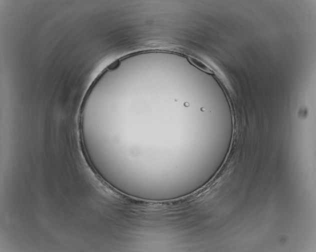 X0000091491291200708161203