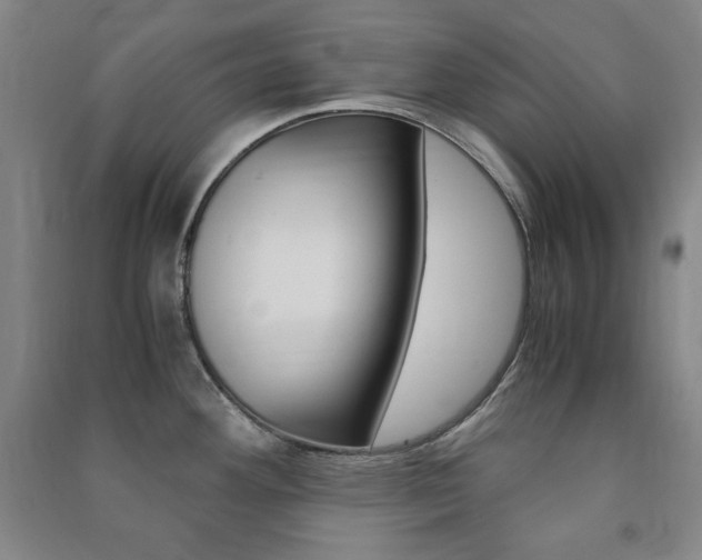 X0000091491292200708161203