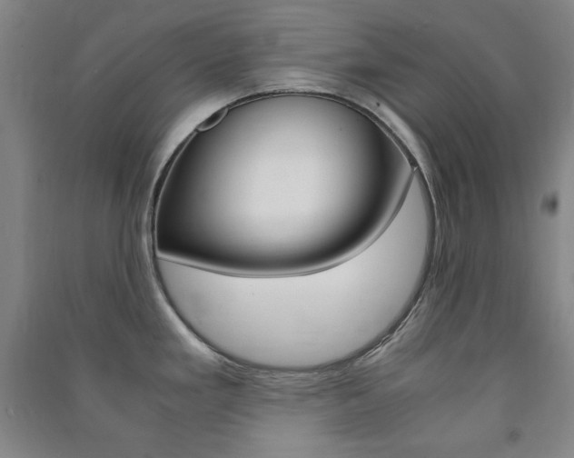X0000091491293200708161203