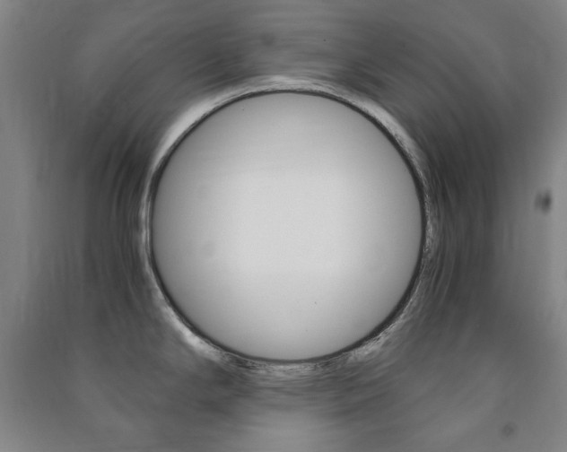 X0000091491294200708161203