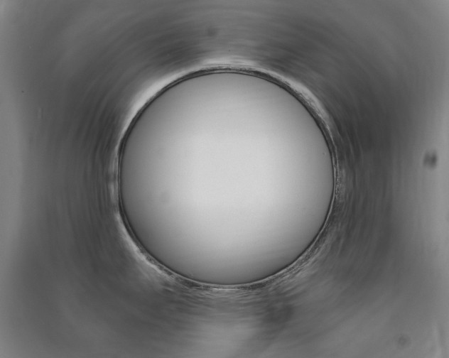 X0000091491295200708161203