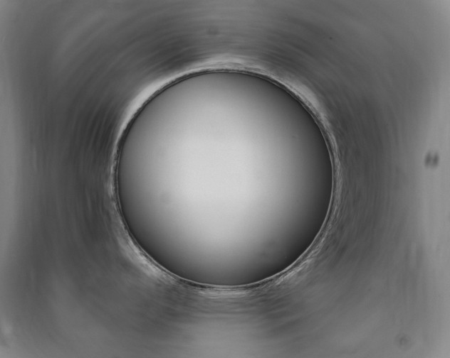 X0000091491296200708161203