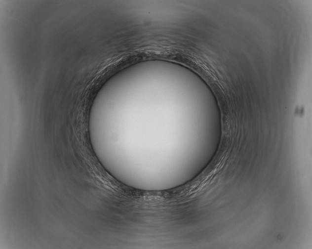 X0000091491297200708161202
