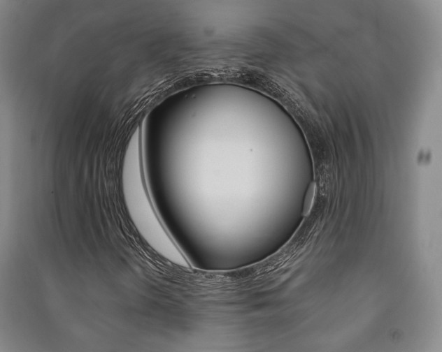 X0000091491298200708161202