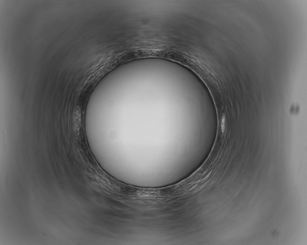 X0000091491299200708161202