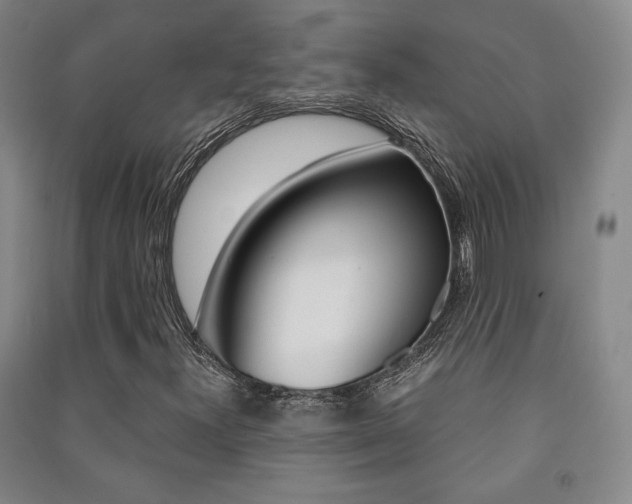 X0000091491300200708161202