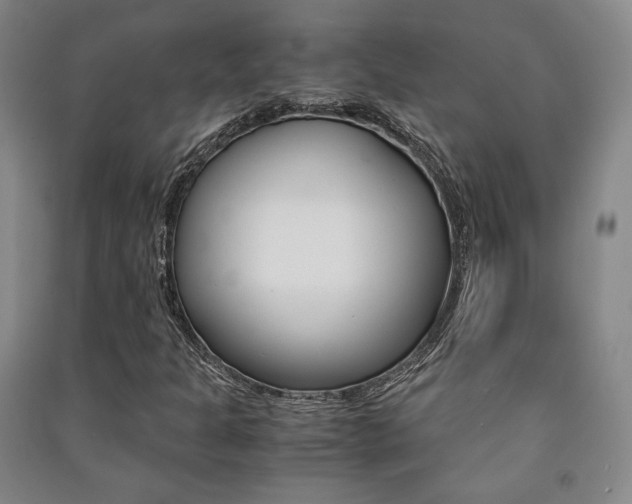 X0000091491301200708161202