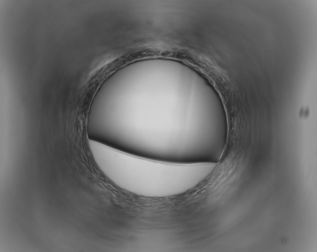 X0000091491302200708161202