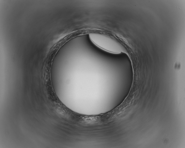 X0000091491303200708161202