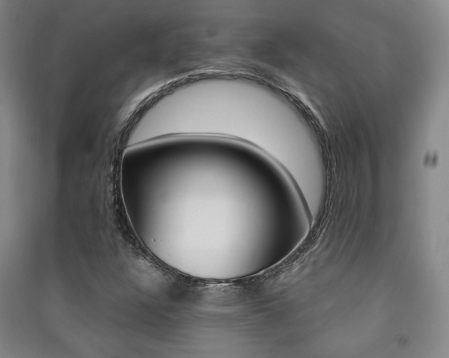 X0000091491304200708161202